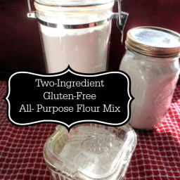 Large Batch of Two-Ingredient Gluten-Free All-Purpose Flour Mix