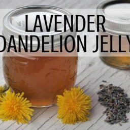 Lavender Dandelion Jelly Recipe