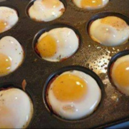 Lazy Eggs