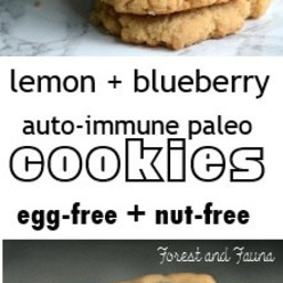 Lemon Blueberry AIP Paleo Cookies