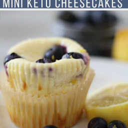 lemon-blueberry-low-carb-cheesecake-muffins-3030509.jpg