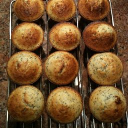 Lemon-Poppy Seed Muffins