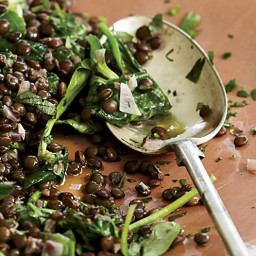 Lentils with Red Wine and Herbs Recipe