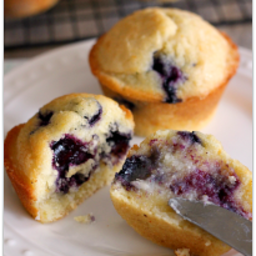 Light and Fluffy Blueberry Muffins