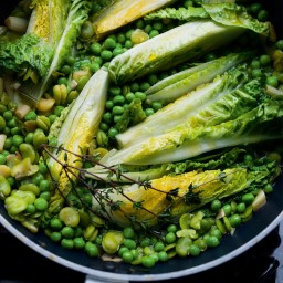 lightly-stewed-broad-beans-pea-b22e4c.jpg