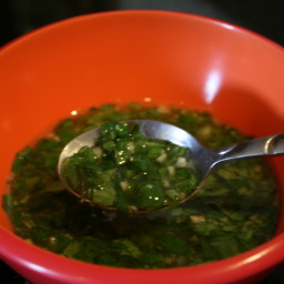 Lime and Cilantro Sauce
