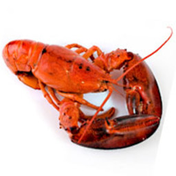 lobster-bisque-2120852.jpg