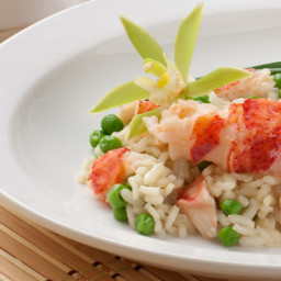 Lobster Risotto 🥘