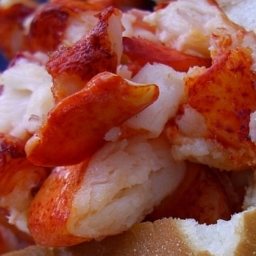 Lobster Rolls with Homemade Mayonnaise