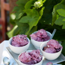 Low-carb blueberry ice cream