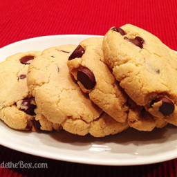 Low Carb Chocolate Chip Cookies Recipe