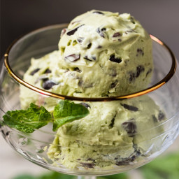 Low Carb, Paleo & Keto Mint Chocolate Chip Ice Cream-For-1