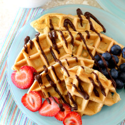 Low Carb Protein Waffles