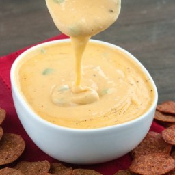 Low Carb Queso Dip