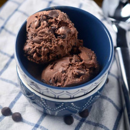 Malted Mocha Chocolate Chip Ice Cream Recipe