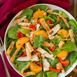 Mandarine Orange Spinach Salad with Chicken and Lemon Honey Ginger Dressing