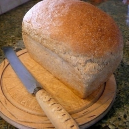 Marilyn's Famous Whole Wheat Bread Recipe