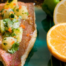Maya Citrus Salsa With Red Snapper