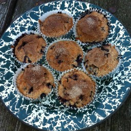 Meddybemps Blueberry Muffins