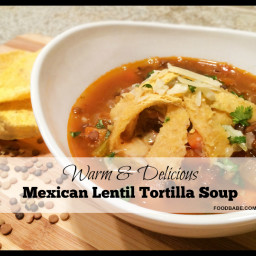Mexican Lentil Tortilla Soup