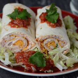 Mexican Turkey Tortilla Roll Ups