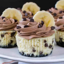 mini-banana-chocolate-chip-cheesecakes-2754497.jpg