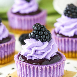 Mini Blackberry Lavender Cheesecakes