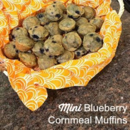 Mini Blueberry Cornmeal Muffins + CNN AccentHealth
