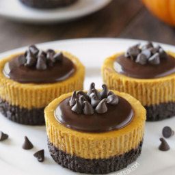 Mini Pumpkin Cheesecakes (grain-free, gluten-free, whole grain options)
