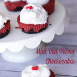 Mini Red Velvet Cheesecakes Recipe