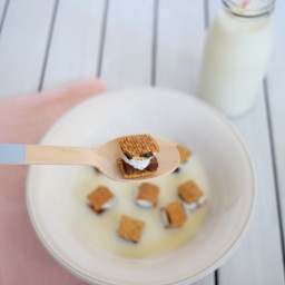 Mini S'mores Cereal