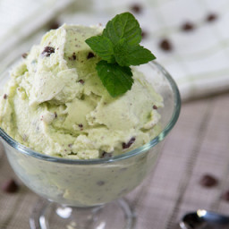 Mint Chocolate Chip Ice Cream