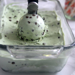 Mint Chocolate Chip Ice Cream Recipe (Dairy-Free, Egg-Free)