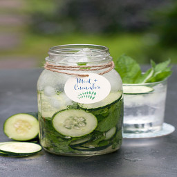 Mint Cucumber Infused Water