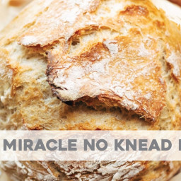 Miracle No Knead Bread