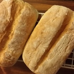 miss-normas-daily-bread-ab2b4f.jpg