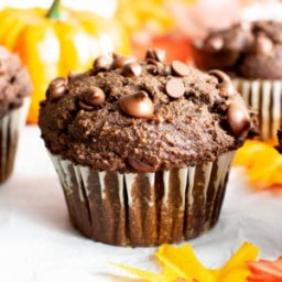 Moist Gluten Free Chocolate Pumpkin Muffins (Vegan, GF, Healthy, Dairy-Free