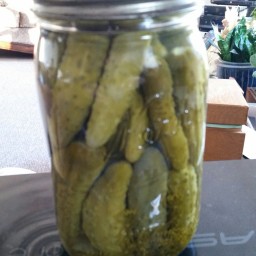 Mom's Dill Pickles (Cooked)