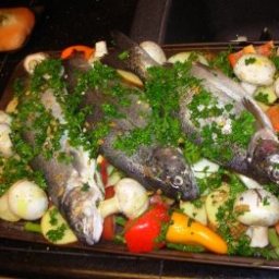 Moroccan Fish Tagine with Chermoula