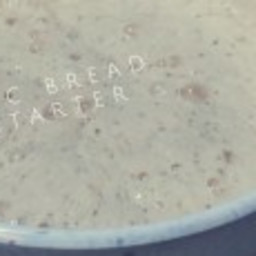 MPC Bread Starter