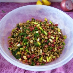 Mung Bean, Scallion And Pomegranate Salad