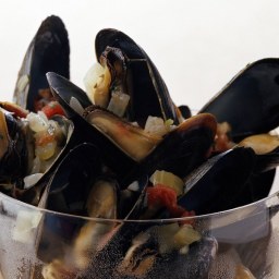 Mussels in Lager