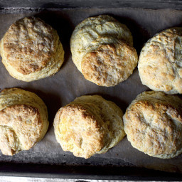 My Favorite Buttermilk BiscuitsAdapted from Dot’s Diner in Boulder