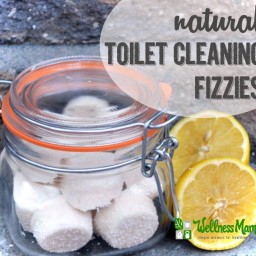 Natural Toilet Cleaning Fizzies