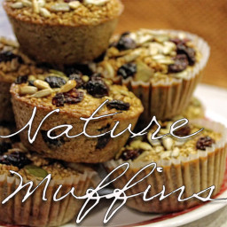 Nature Muffins (baked steel cut oatmeal muffin)