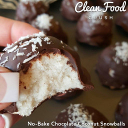 No-Bake Chocolate Coconut Snowballs