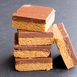 No Bake Paleo Chocolate Almond Butter Bars (4 Ingredient, Vegan, Gluten Fre
