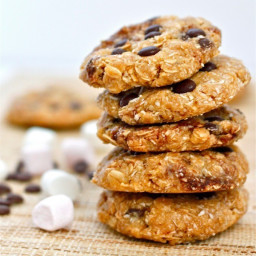 no-bake-smores-protein-cookies-1619881.jpg