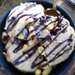 No Churn Dairy-Free Peanut Butter Chocolate Chip Ice Cream {Fruit-Sweetened