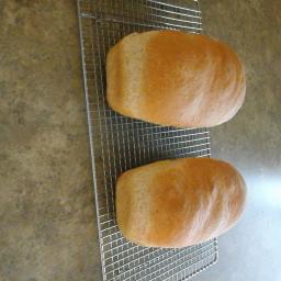 No-Fail Whole Wheat Bread